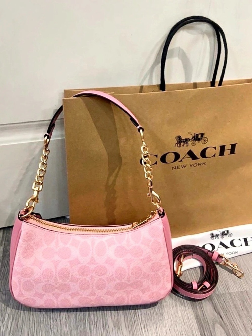 Coach Teri Shoulder Bag in Signature Canvas Pink